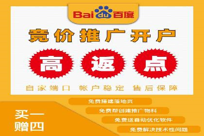 竞价广告的投放策略与效果评估——以一成功企业为例